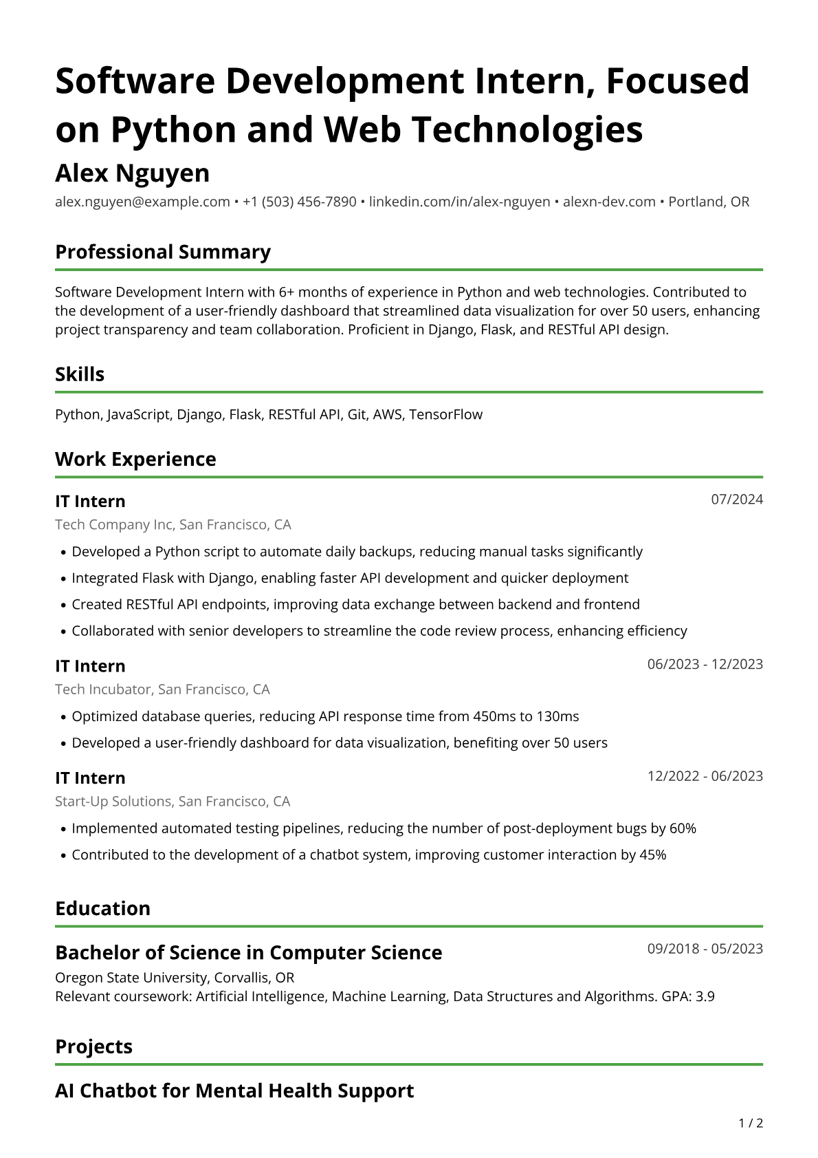 IT Intern Resume Example