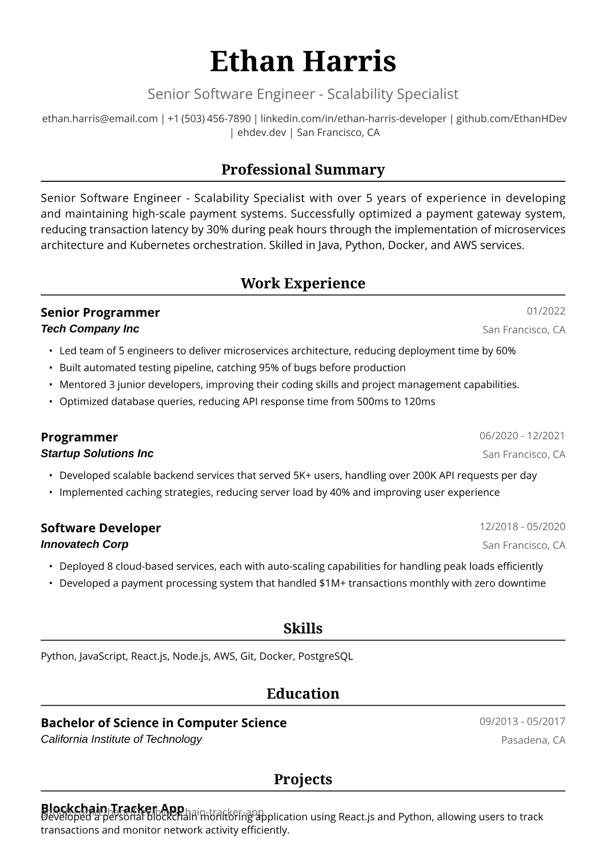 Programmer Resume Example